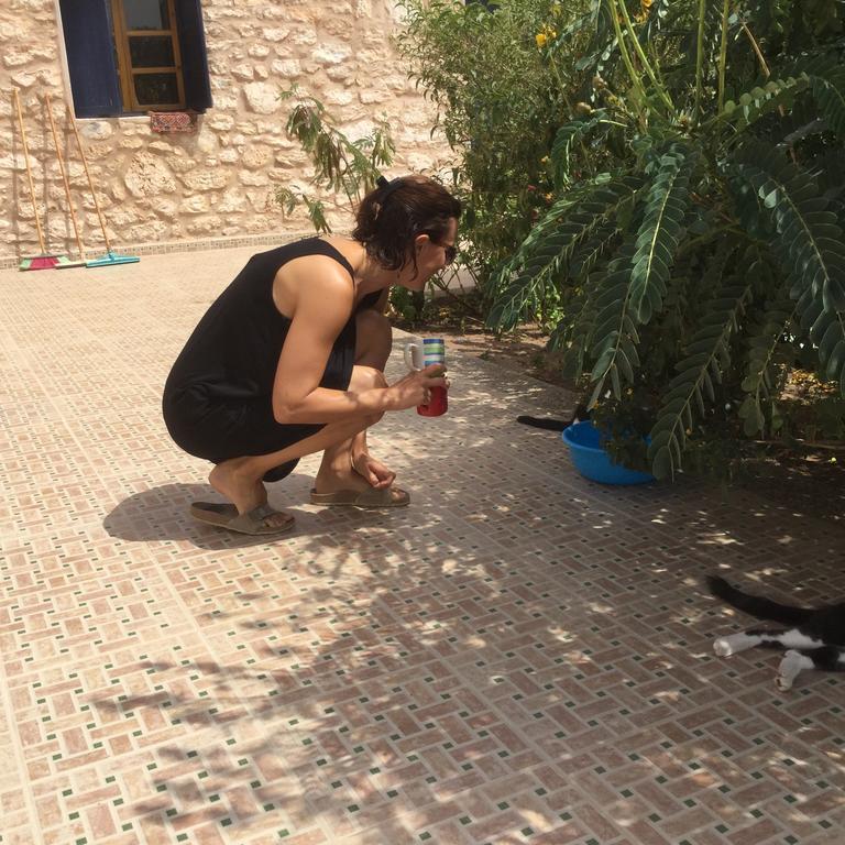 Dar Albatros Guest House Sidi Kaouki Bagian luar foto
