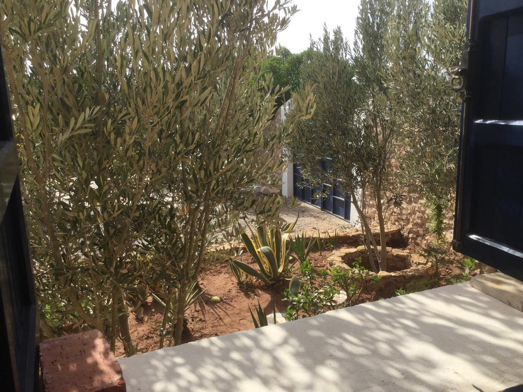 Dar Albatros Guest House Sidi Kaouki Bagian luar foto